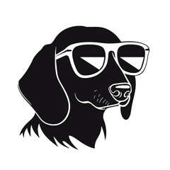 Dachshund dog face isolated on a white background