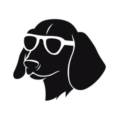 Dachshund dog face isolated on a white background