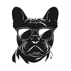 Portrait of french bulldog wearing sunglasses