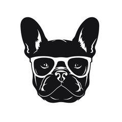 Portrait of french bulldog wearing sunglasses