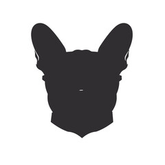 Portrait of french bulldog wearing sunglasses