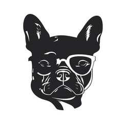French bulldog Portrait. Vector illustration.