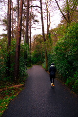 Obraz premium Yellow path through