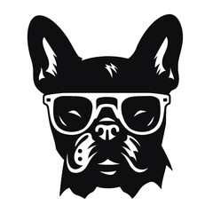 French Bulldog with sunglasses 