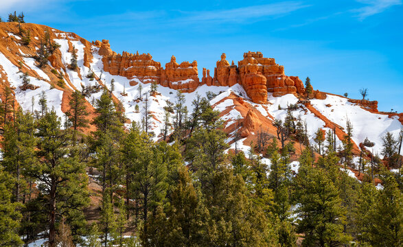 ”Red Canyon“ is a unique scenery in the neighborhood of Bryce Canyon National Park, Utah (USA). Red-orange sandstone formations (Hoodoos) contrasting with blue sky green vegetation and white snow.