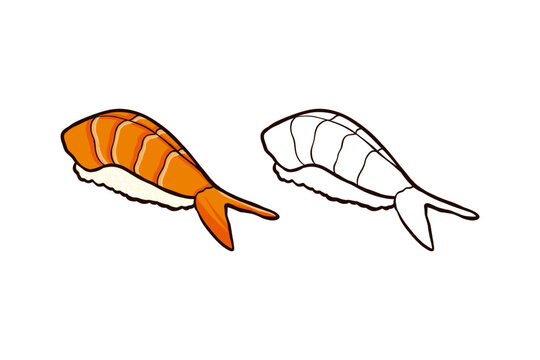 hand drawn shrimp sushi illustration