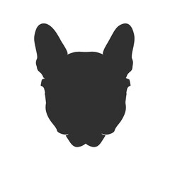 French Bulldog with sunglasses