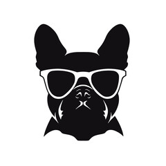 French Bulldog with sunglasses