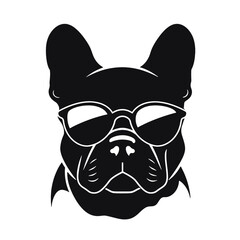 French Bulldog with sunglasses
