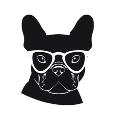 French Bulldog with sunglasses