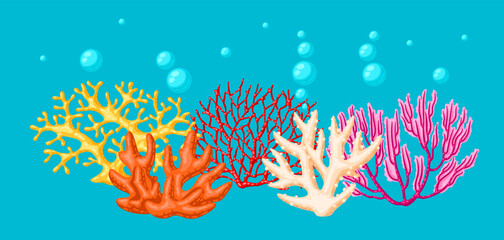 Fototapeta na wymiar Background with sea corals. Marine life aquarium and water fauna.