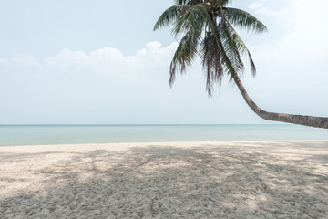 Coconut tree on a tropical island with beautiful beach - 787213588