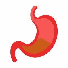 Stomach High-Quality Vector Illustration on White Background