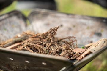 焚火台に薪や枯葉をセッティングする手元