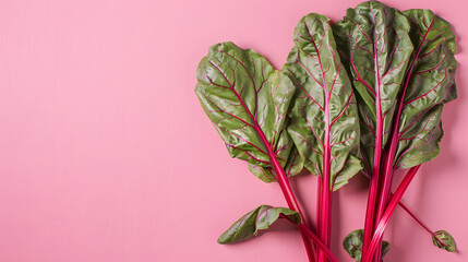some fresh chard leaves with red stems on pink background View from above with copy space : Generative AI - obrazy, fototapety, plakaty