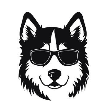 Siberian husky dog - isolated vector illustration