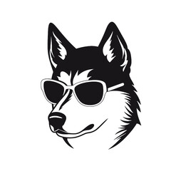 Husky banner template. Siberian Husky head on white background. Husky dog