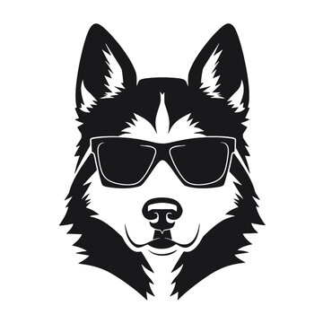 Husky banner template. Siberian Husky head on white background. Husky dog