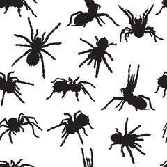 spider, tarantula, insect, various poses, movements and foreshortenings of figures, black, white, pattern