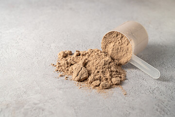Protein powder and protein drinks, with scoops. Food supplement, copy space