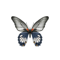 Watercolor colorful butterflies, isolated on white background. blue, yellow, pink and red butterfly 
