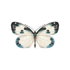 Watercolor colorful butterflies, isolated on white background. blue, yellow, pink and red butterfly 