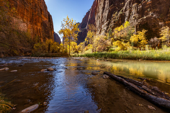 Calm Virgin River and rock formations in Zion National Park in autumn