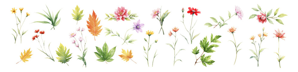 Flower set watercolor style. Collection green leaves and flower, vector illustration