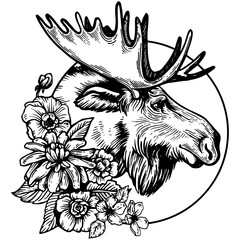 Moose head animal engraving PNG illustration. Scratch board style imitation. Black and white hand drawn image.