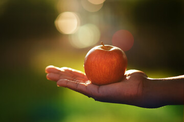 Apple, hand and health with person on farm or in orchard for growth, nature or sustainability....