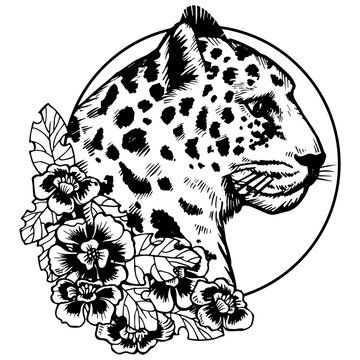 Leopard head animal engraving PNG illustration. Scratch board style imitation. Black and white hand drawn image.