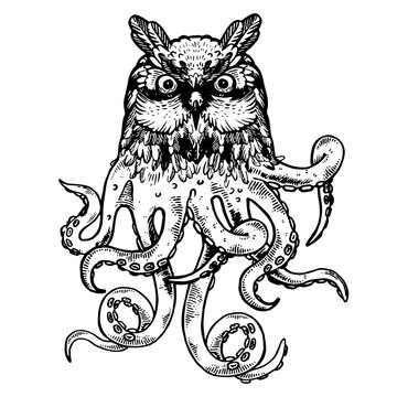 Fantastic fabulous owl octopus animal engraving PNG illustration. Scratch board style imitation. Black and white hand drawn image.
