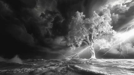 Foto op Canvas A dramatic black and white photo of a lone, white tree silhouetted against a stormy black sky with streaks of lightning.3D rendering © Eve Creative
