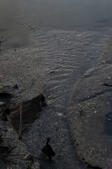 water on the beach