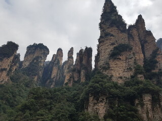 Fototapeta na wymiar landscape with trees in jangjiaji trip