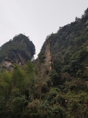 landscape with trees in jangjiaji trip