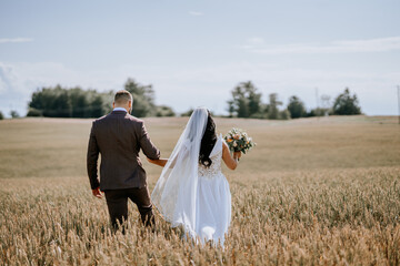 Valmiera, Latvia- July 28, 2024 - Bride and groom walk through a wheat field, viewed from behind,...