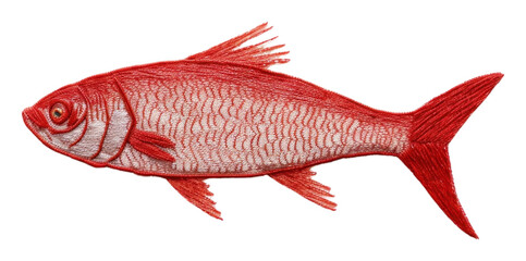 PNG Fish seafood animal goldfish. - obrazy, fototapety, plakaty