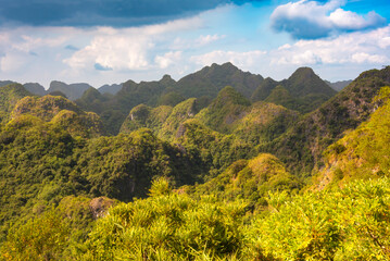 Cat Ba island in Vietnam. Green mountains covered with tropical rainforest