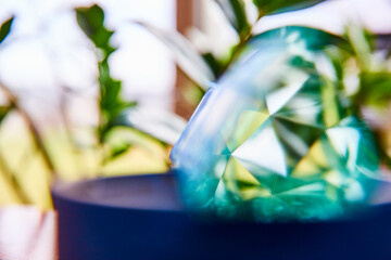Abstract Crystal Refraction and Plant Blur - Close-Up Perspective