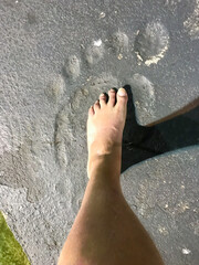 Funny, amusing comparison size of a human foot to the size of Bigfoot?