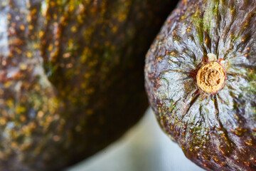 Close-Up Fresh Avocado Texture and Colors with Shallow Depth Field