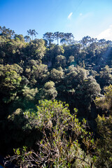 natureza  cascata dos namorados - morro da Igreja - Urubici - Serra Catarinense - Serra Geral - Santa Catarina - Brasil