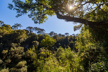 Urubici - Serra Catarinense - Serra Geral - Santa Catarina - Brasil