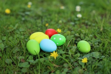 Fototapeta na wymiar Easter celebration. Painted eggs on green grass