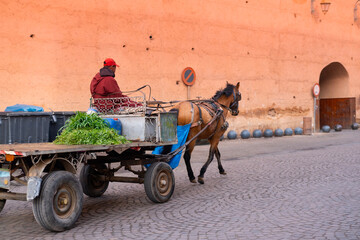 Marrakech locals people navigate city's labyrinthine streets in traditional horse-drawn cart,...