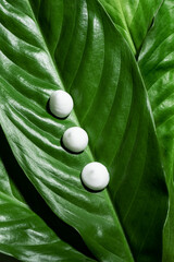 Beauty cream drops on green leaves