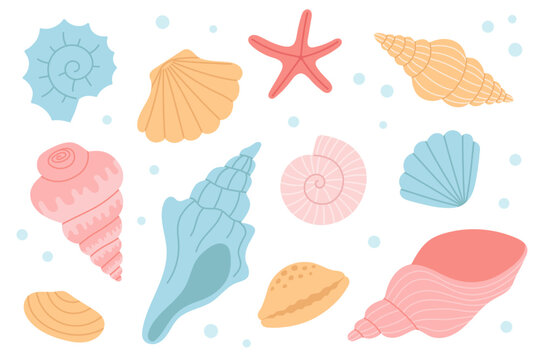 Set of hand drawn seashell, mollusks, starfish. Design elements for print, stickers, greeting card and invitation. 