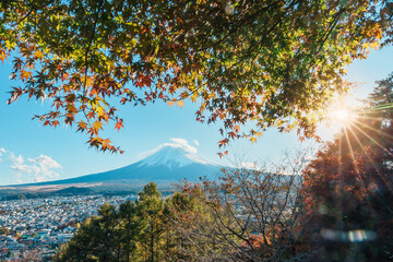 Mount Fuji view in Autumn season, colorful fall foliage leaves at Chureito Pagoda, Yamanashi,...