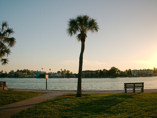 View west with a green palm tree against blue sky and metal park bench. View across bay water at Ron McKenney Park , St. Pete Beach, Florida. Late afternoon Wide angle with bright sunny blue sky. 
 - Powered by Adobe